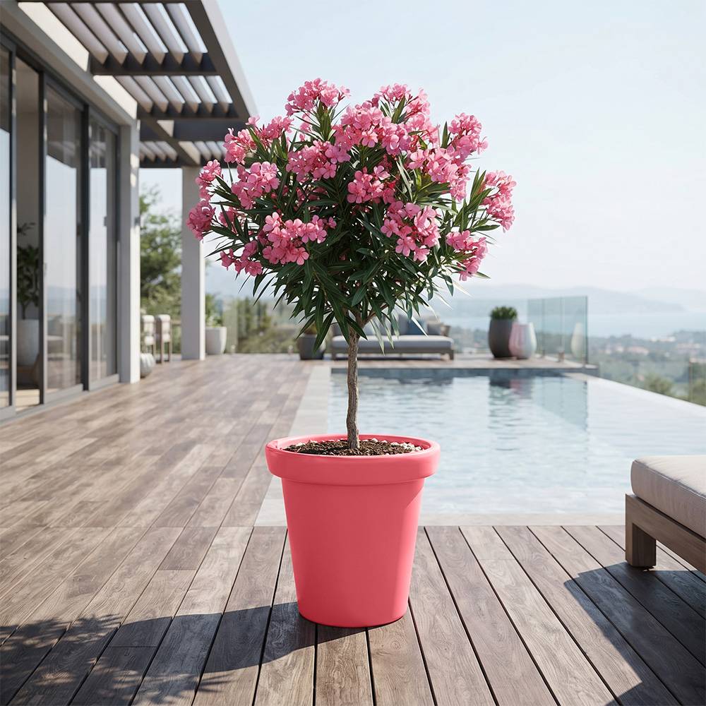 Plast'Up Rotomoulage - Pot de fleurs rond xxl delight 75l- lot de 2 - Image 4
