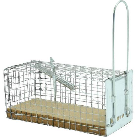 Caussade - Nasse à souris , socle en bois
