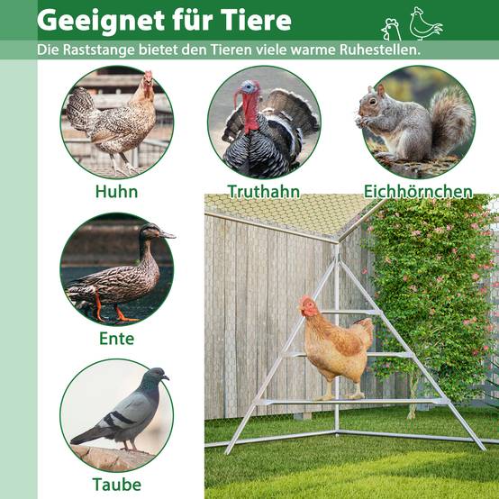 Enclos Poulailler Acier Jardin Volière avec Toit et Perchoir 6m² 3x2m Blanc - ComfortXL Outdoor Living - Image 7