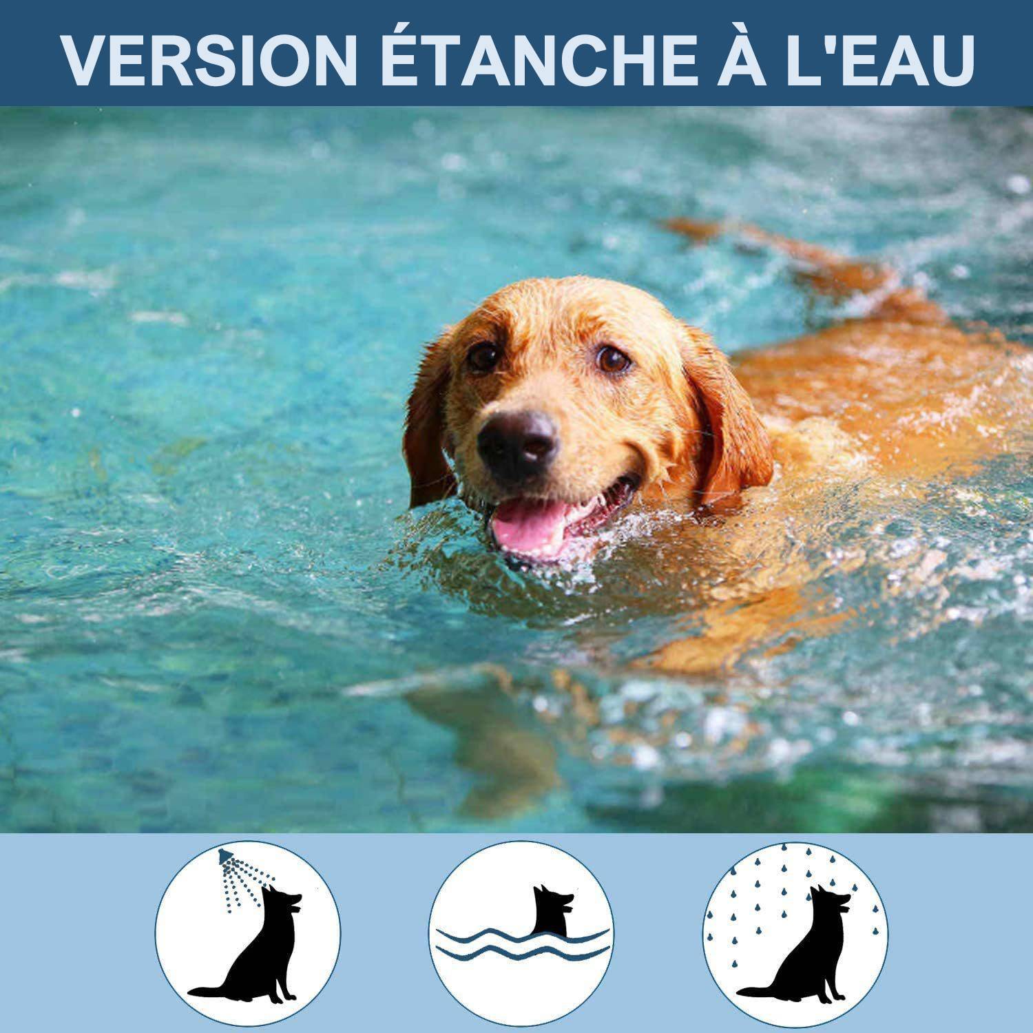 Collier anti-puces et tiques pour chien - Image 3