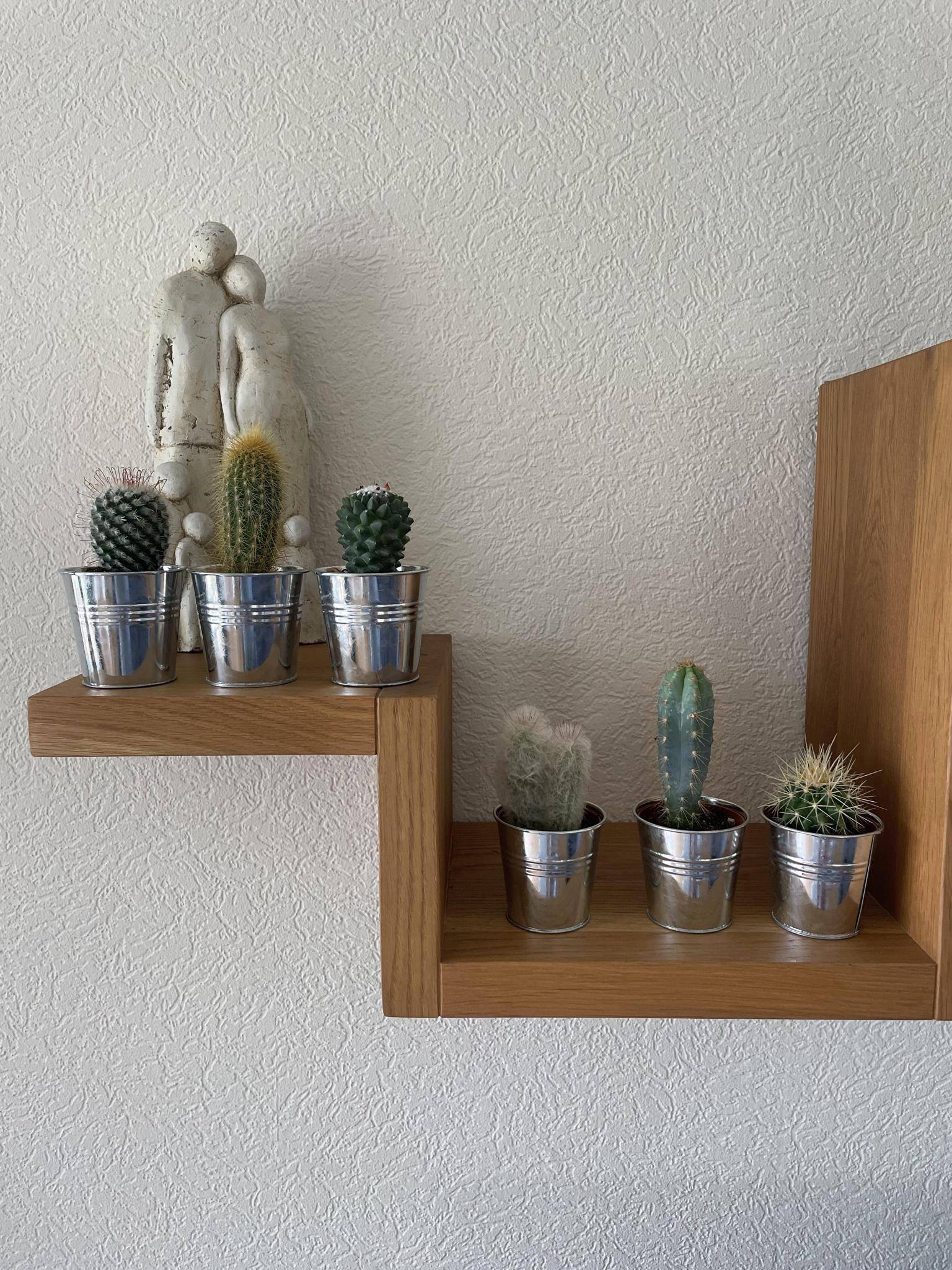 Ensemble de 6 cactus en pot de zinc- La Green Touch - Image 3