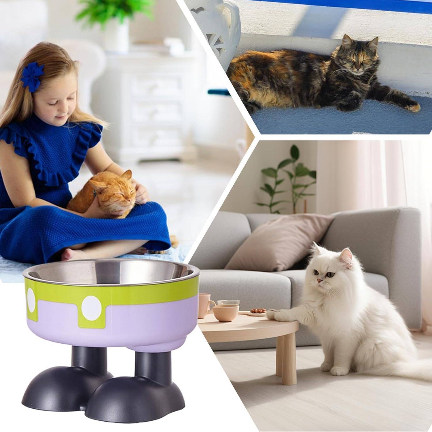 DtopbuyAge - Mangeoire Hauteur Ergonomique - Acier Inoxydable Vert DtopbuyAge - Image 4