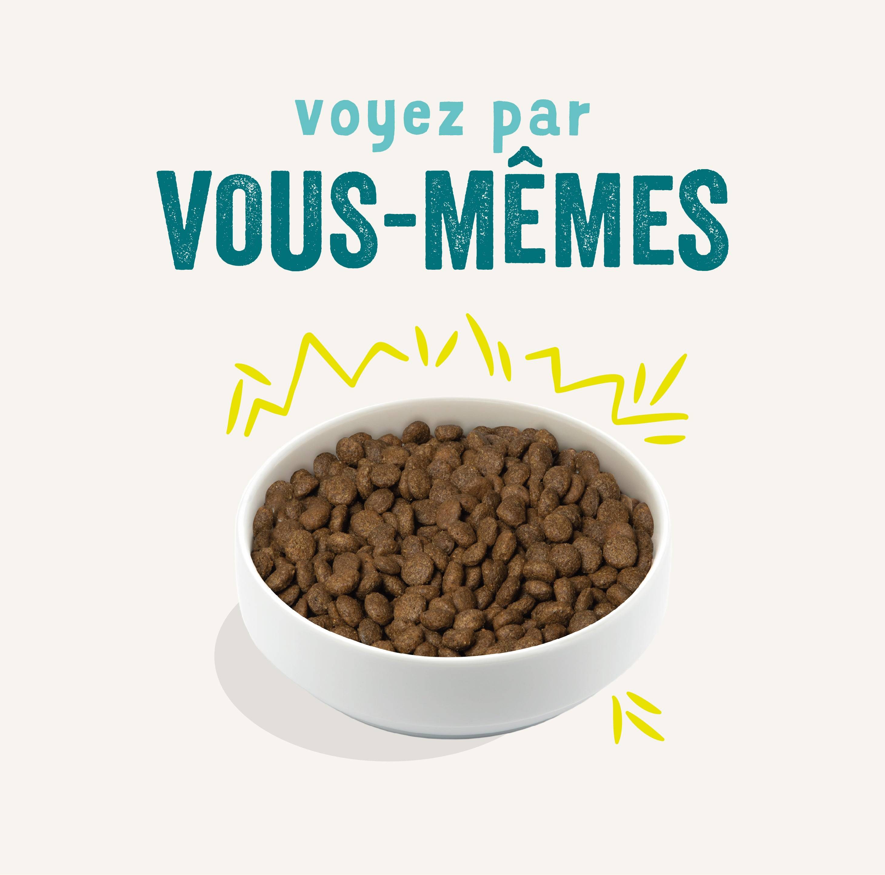 Edgard & Cooper - Edgard Cooper - Croquettes Végétariennes Carotte & Courgette pour Chien - Image 3