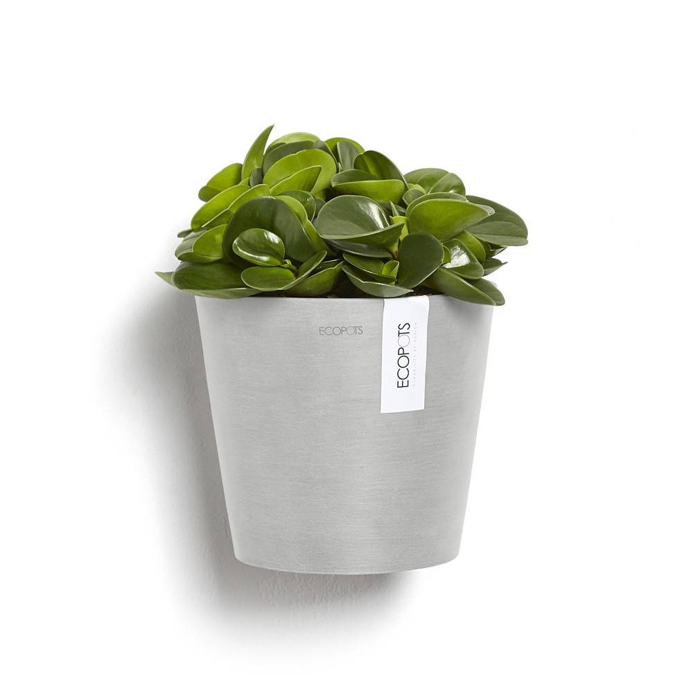 Ecopots - Pot suspension mural Amsterdam Wall Blanc Gris - Ø 20 x H. 17,5 cm - 4 L ECOPOTS - Image 3