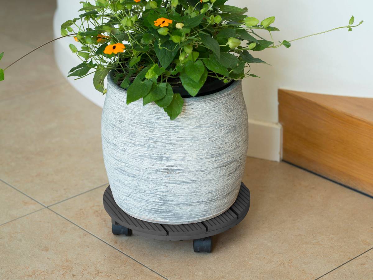 Support roulant - bois composite, coloris anthracite, charge maxi 50 kg, 4 roulettes -  Ø30 cm - Nature - Image 2