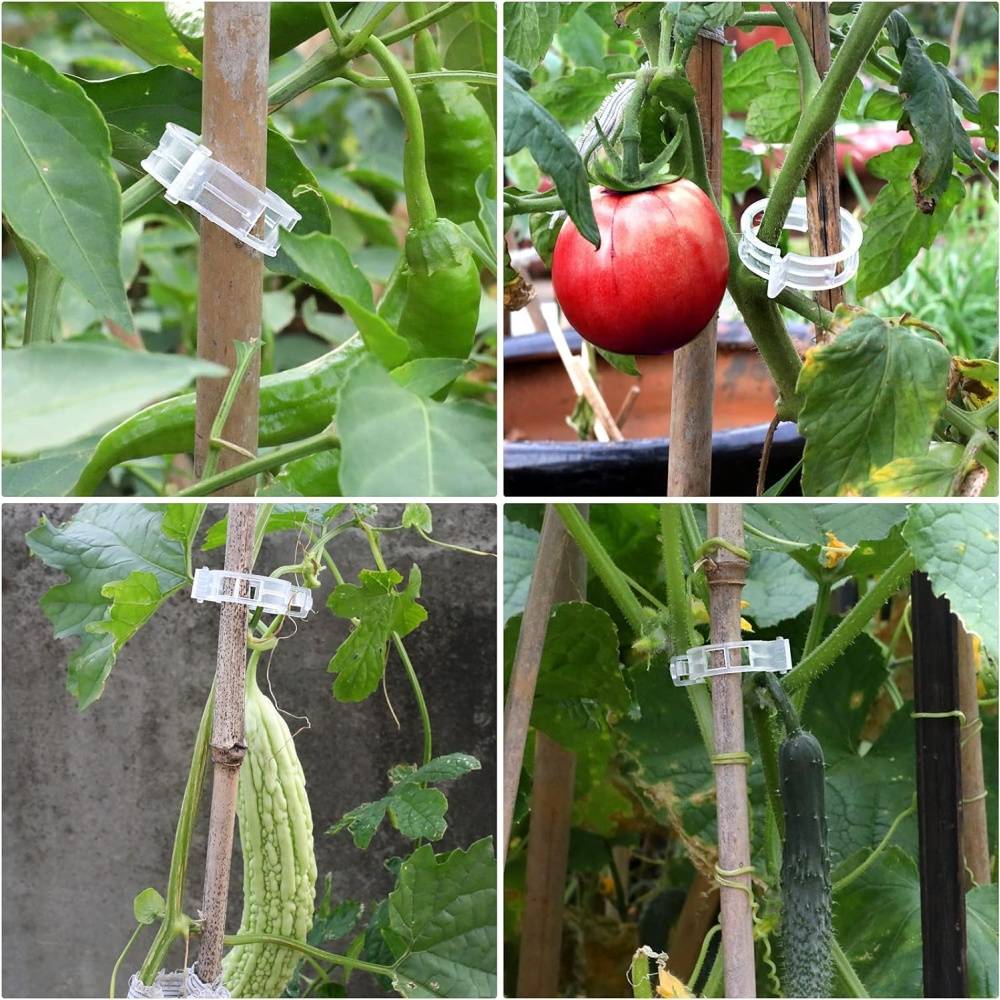 DtopbuyAge - 300 clips de support pour plantes - Support pour tomates et vignes - Favorise la croissance - DtopbuyAge - Image 4