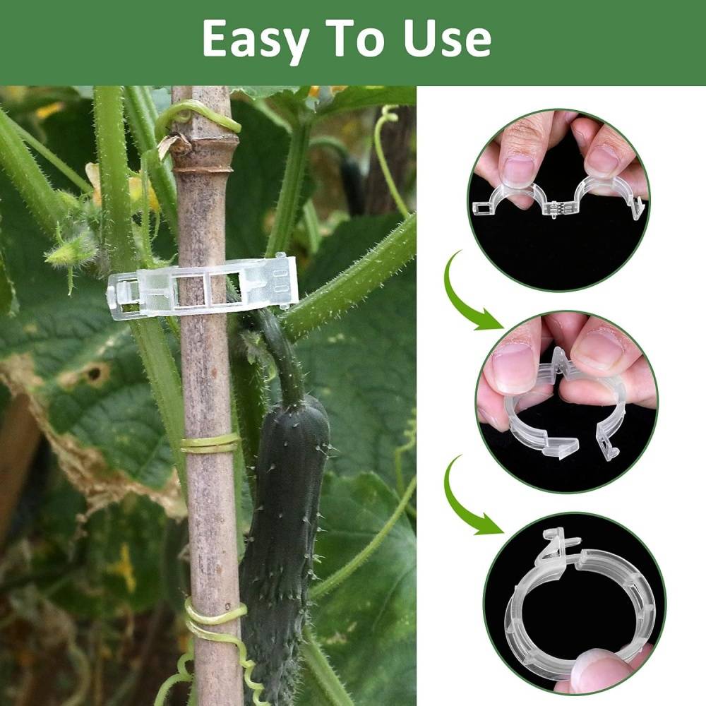 DtopbuyAge - 300 clips de support pour plantes - Support pour tomates et vignes - Favorise la croissance - DtopbuyAge - Image 2