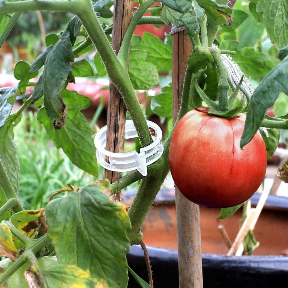 DtopbuyAge - 300 clips de support pour plantes - Support pour tomates et vignes - Favorise la croissance - DtopbuyAge - Image 3