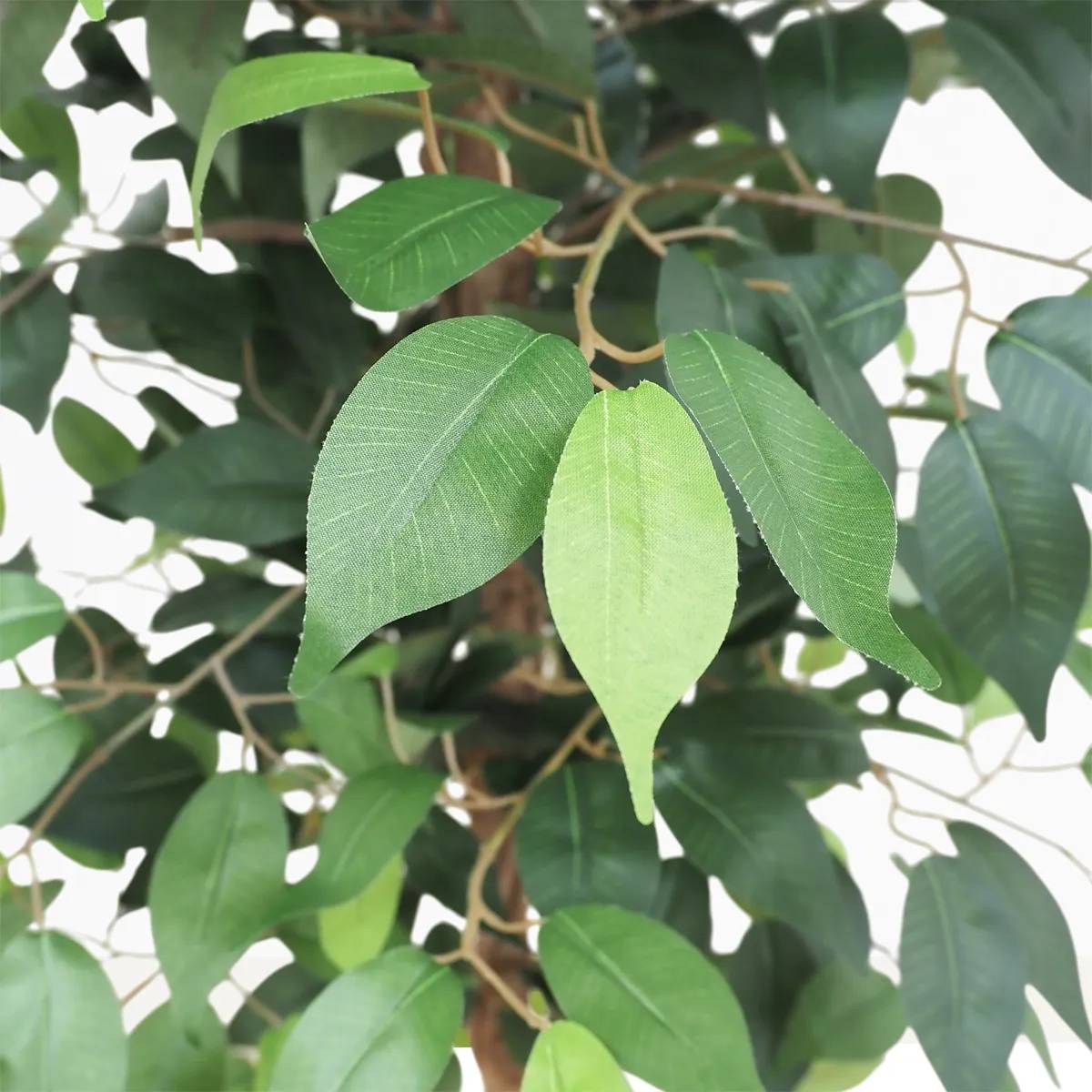 Ligne Deco - Ficus artificiel vert 180cm - Image 4