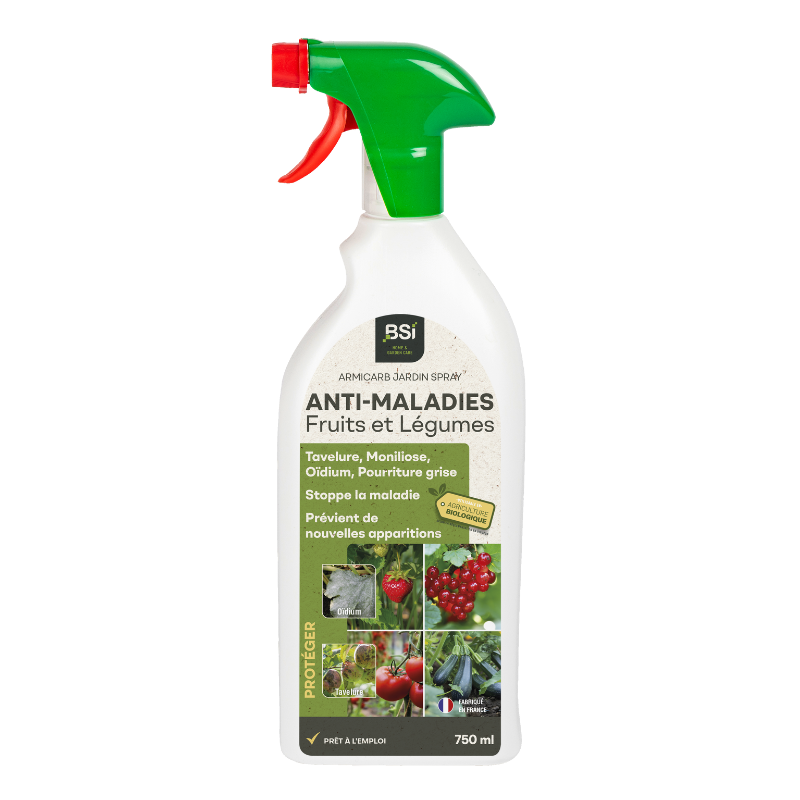 Traitement anti-maladies Fruits Légumes 750ml - Bsi