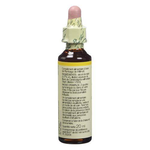 Cerato - Fleurs de Bach® n°5 Fleur de Bach - Image 2