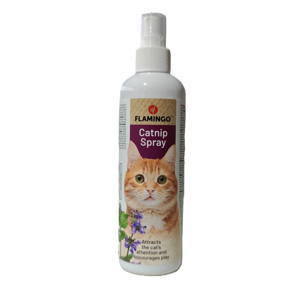 Catnip en spray 250 ml pour chat - Image 1