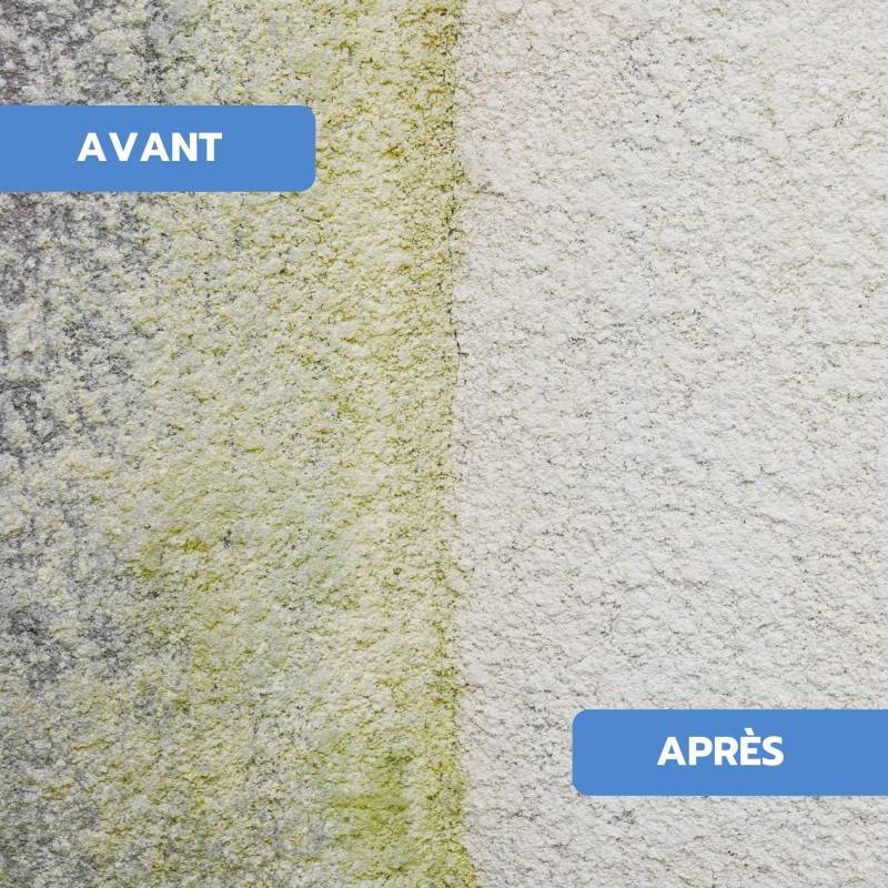 Antimousse concentré toiture, façade, terrasse ULTRA'DMOUSS - 10 L - Image 4