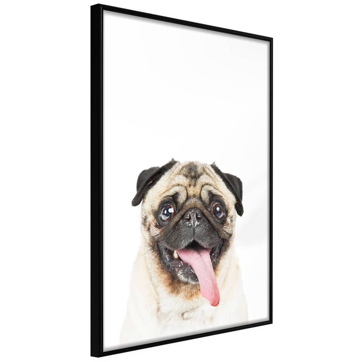 Affiche Murale Encadrée "Funny Pug" 40 x 60 cm Noir