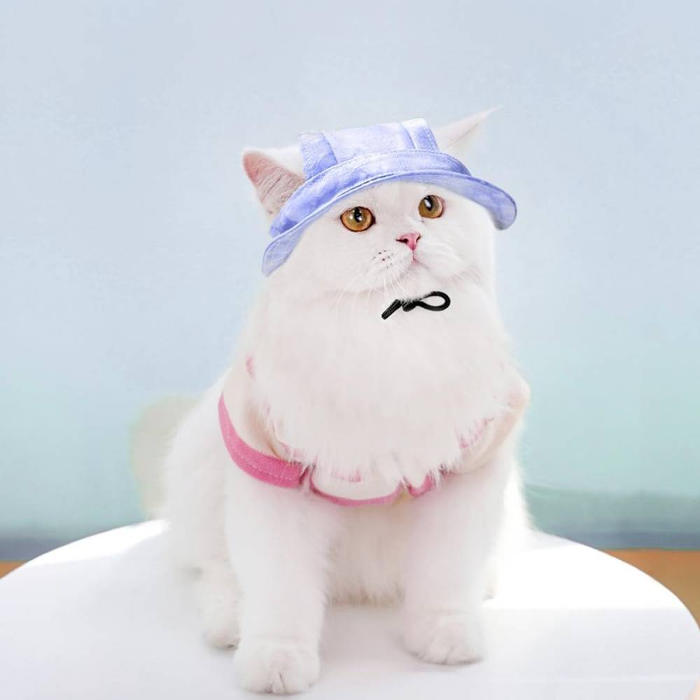 Chapeau de princesse pour chien - Bord large, réglable - Protection solaire - Taille unique (3-5,5 kg) -violet- Living123 - Image 4