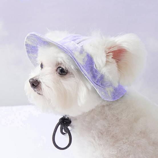 Chapeau de princesse pour chien - Bord large, réglable - Protection solaire - Taille unique (3-5,5 kg) -violet- Living123 - Image 5