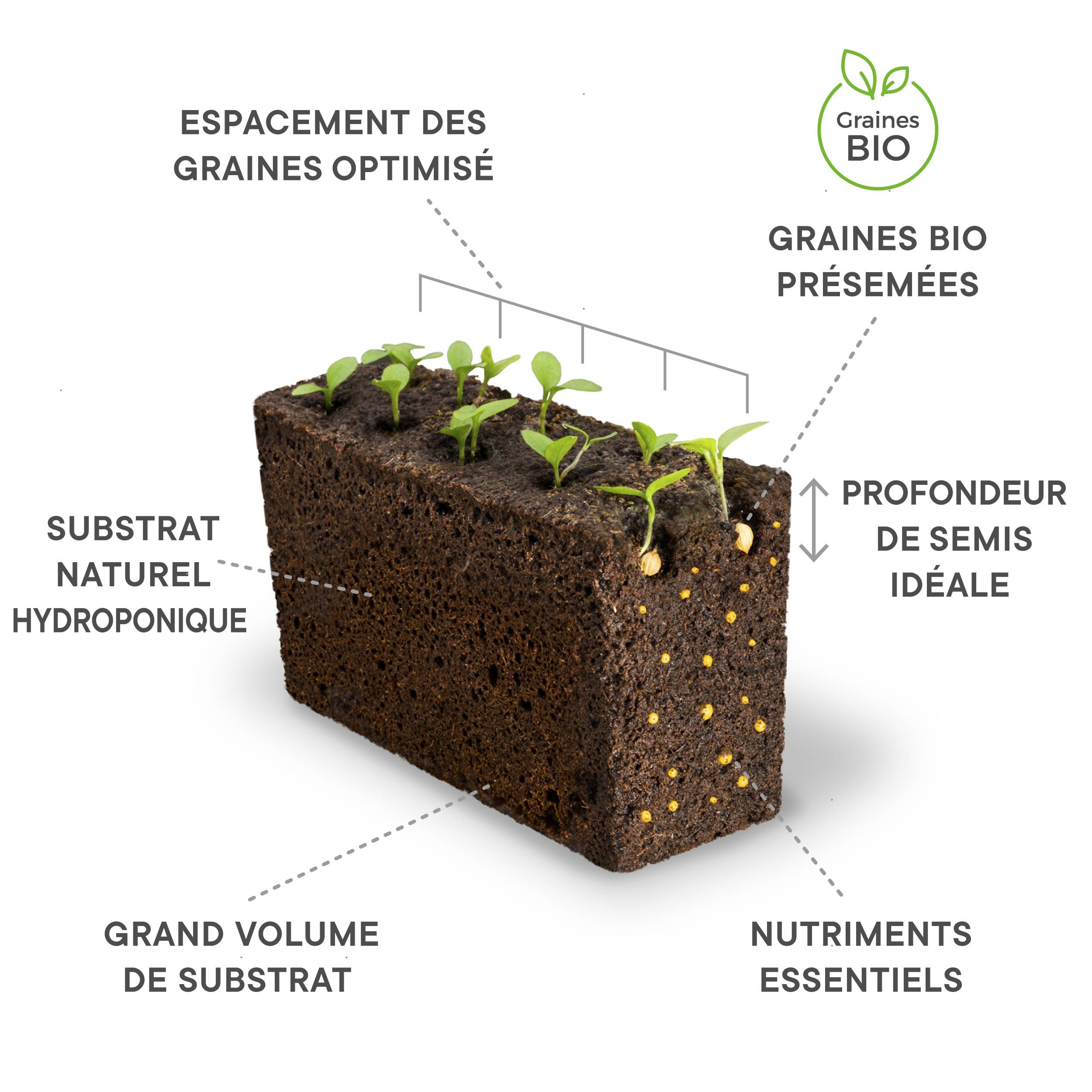 Veritable - Lingot Ciboulette BIO - Recharge prête à l'emploi - Véritable - Image 3