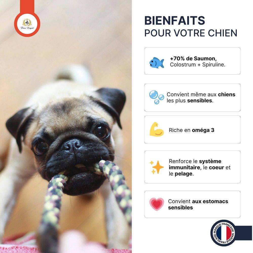 France Croquettes - France Croquettes Friandise pour chien Bouchées de saumon au colostrum - 600 g - Image 3