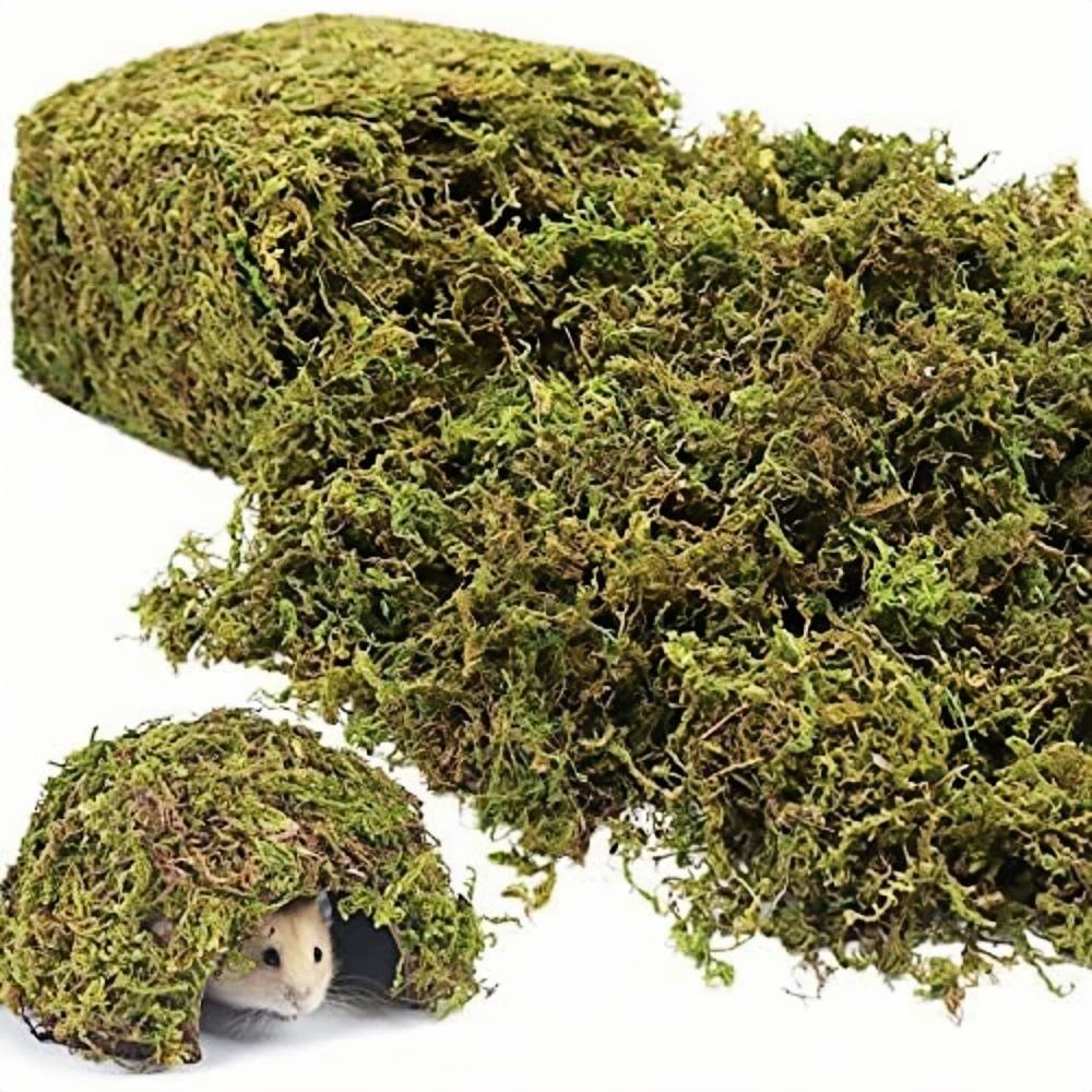 DtopbuyAge - Litière en mousse forestière pour petits animaux DtopbuyAge - Image 1