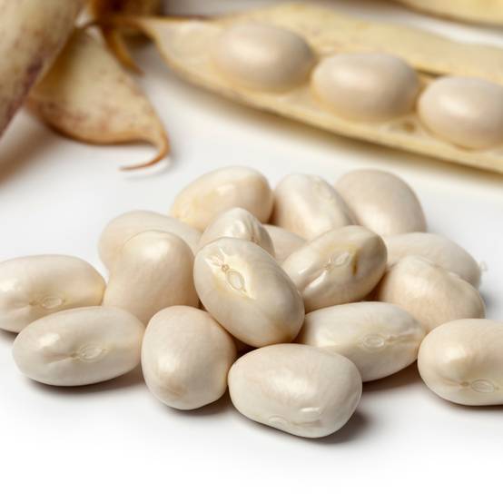 Haricot nain à écosser Pactol - type coco Paimpolais le sachet de 115 graines environ (90g)