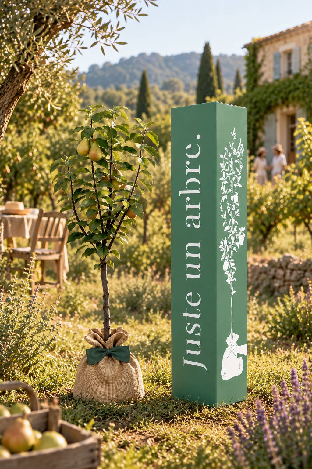 Juste Un Arbre - JUSTE UN ARBRE. – Poirier Conférence | Offrez un arbre fruitier pour naissance, mariage, anniversaire – À planter en jardin, production abondante. - Image 2