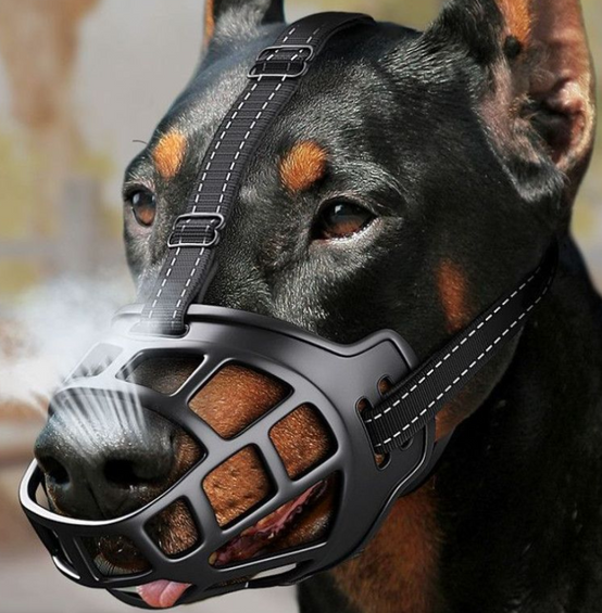 Museau Chien Ajustable - Anti-Morsure/Léchage - Permet de Boire Bouche 25-29 cm - Image 1