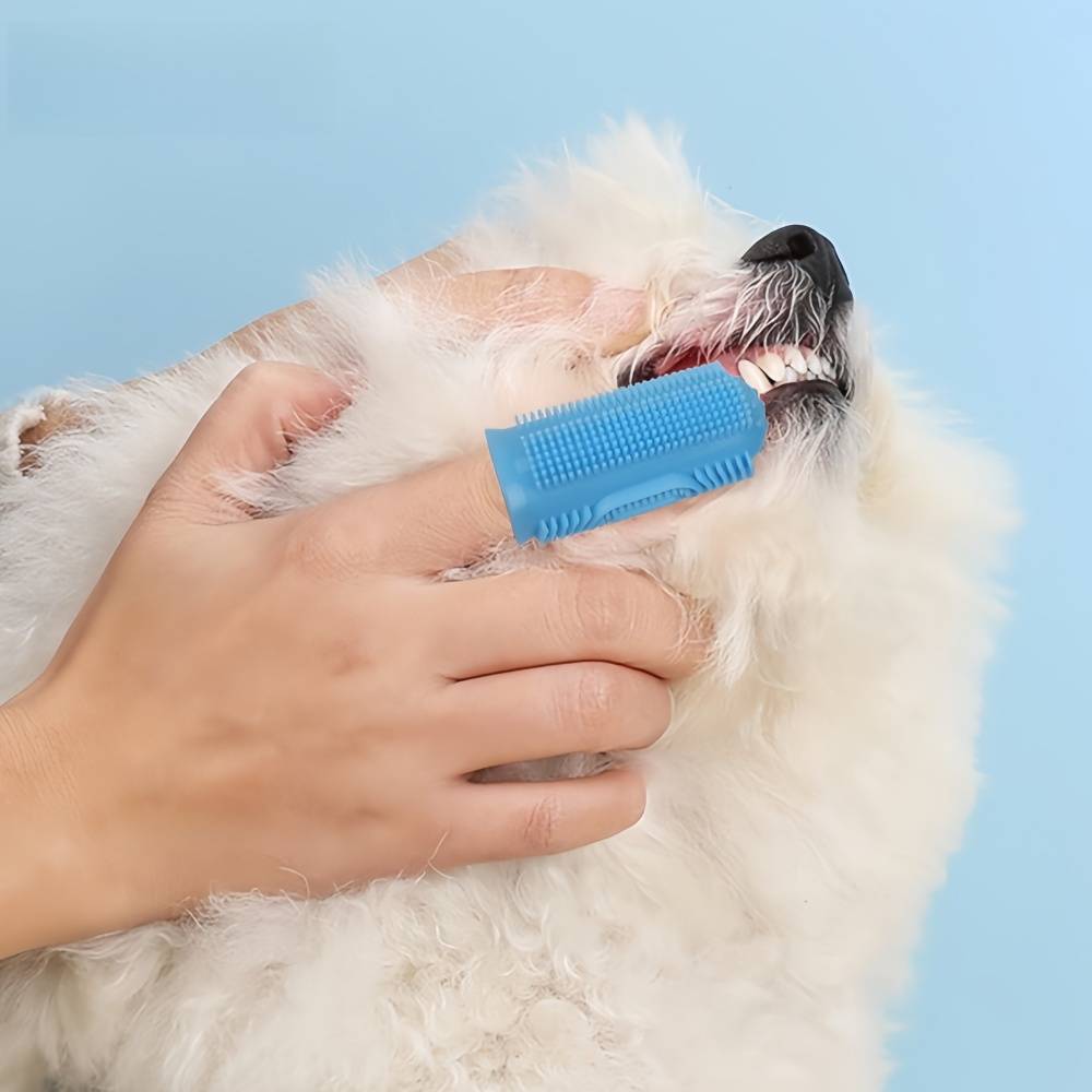 IntiMeg - Ensemble de dentifrice et brosse à dents pour chat IntiMeg - Image 7