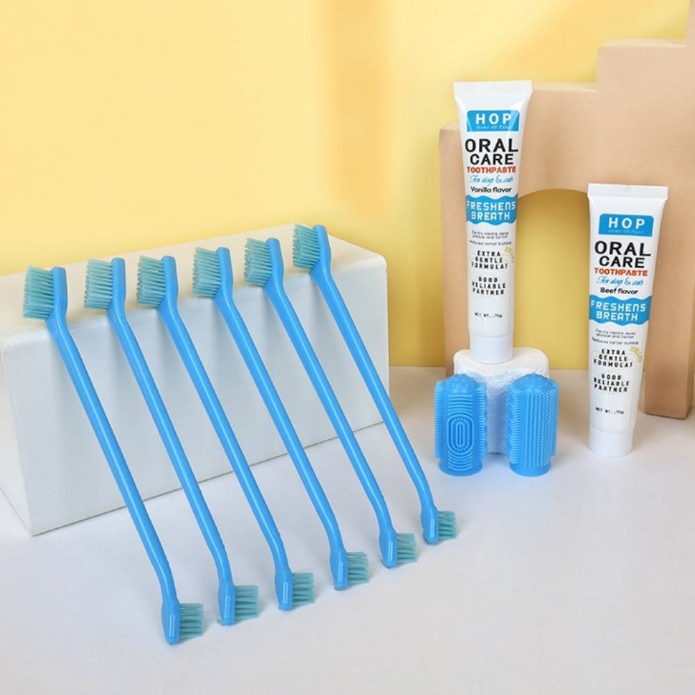 IntiMeg - Ensemble de dentifrice et brosse à dents pour chat IntiMeg - Image 2