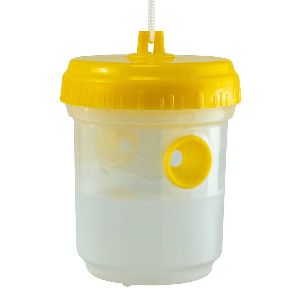 Piège à insectes avec réservoir – Capture redoutable et sans produit chimique - Image 1