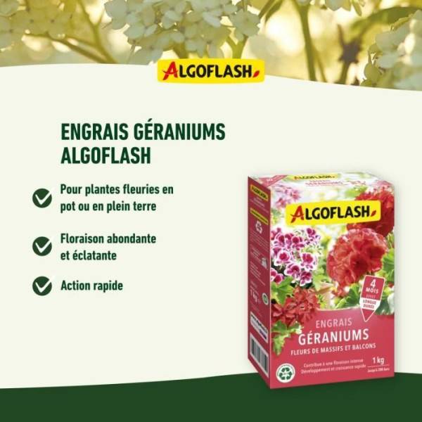 Algoflash Naturasol - Engrais Géraniums, Fleurs De Massifs Et Balcons - Algoflash Naturasol - 1 Kg - Image 3