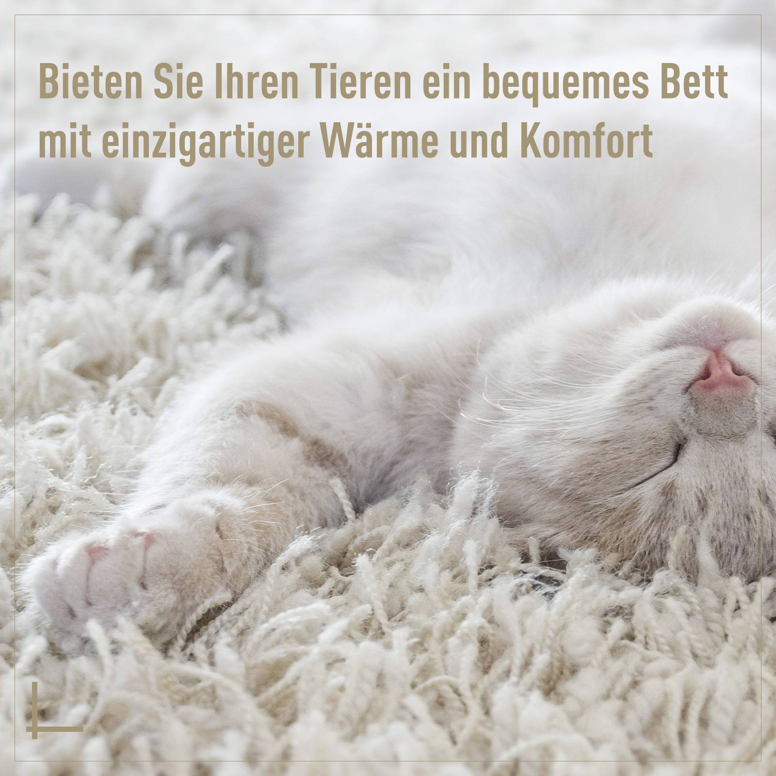 Sans Marque - Cachette Rotin lit chat maison avec coussin tente animal chats chiens Beige Ø56x35cm - Image 8