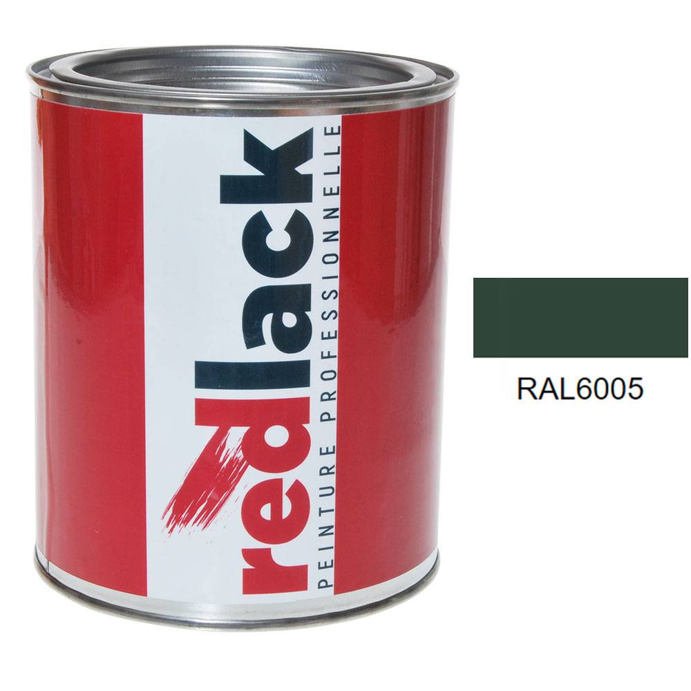 Peinture Vert mousse RAL 6005 Brillant multisupport 1L Redlack - Gamm vert