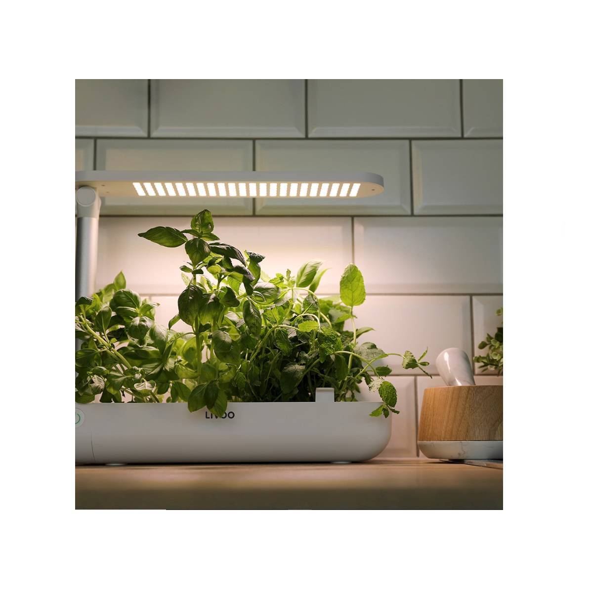 Livoo - Jardin d'intérieur avec leds intégrées - Image 8