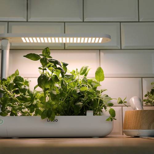 Livoo - Jardin d'intérieur avec leds intégrées - Image 1