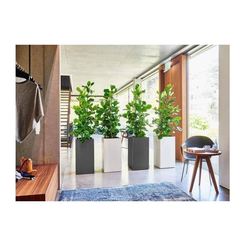Lechuza - Pot De Fleur Lechuza Canto Premium Colonne 40 - Kit Complet, Blanc Brillant - Image 2
