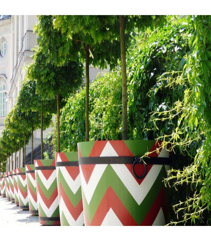 Substrat jardinières et bacs, 10 sacs de 50 litres - PRO11-10x50 - Image 4