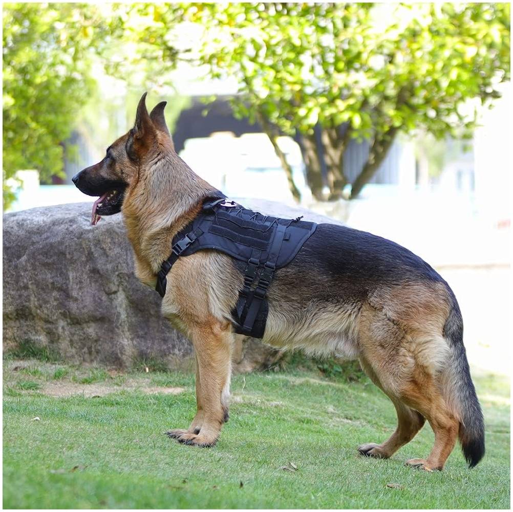 Lytech - Harnais tactique résistant pour chiens noir professionnel - Lytech - Image 2