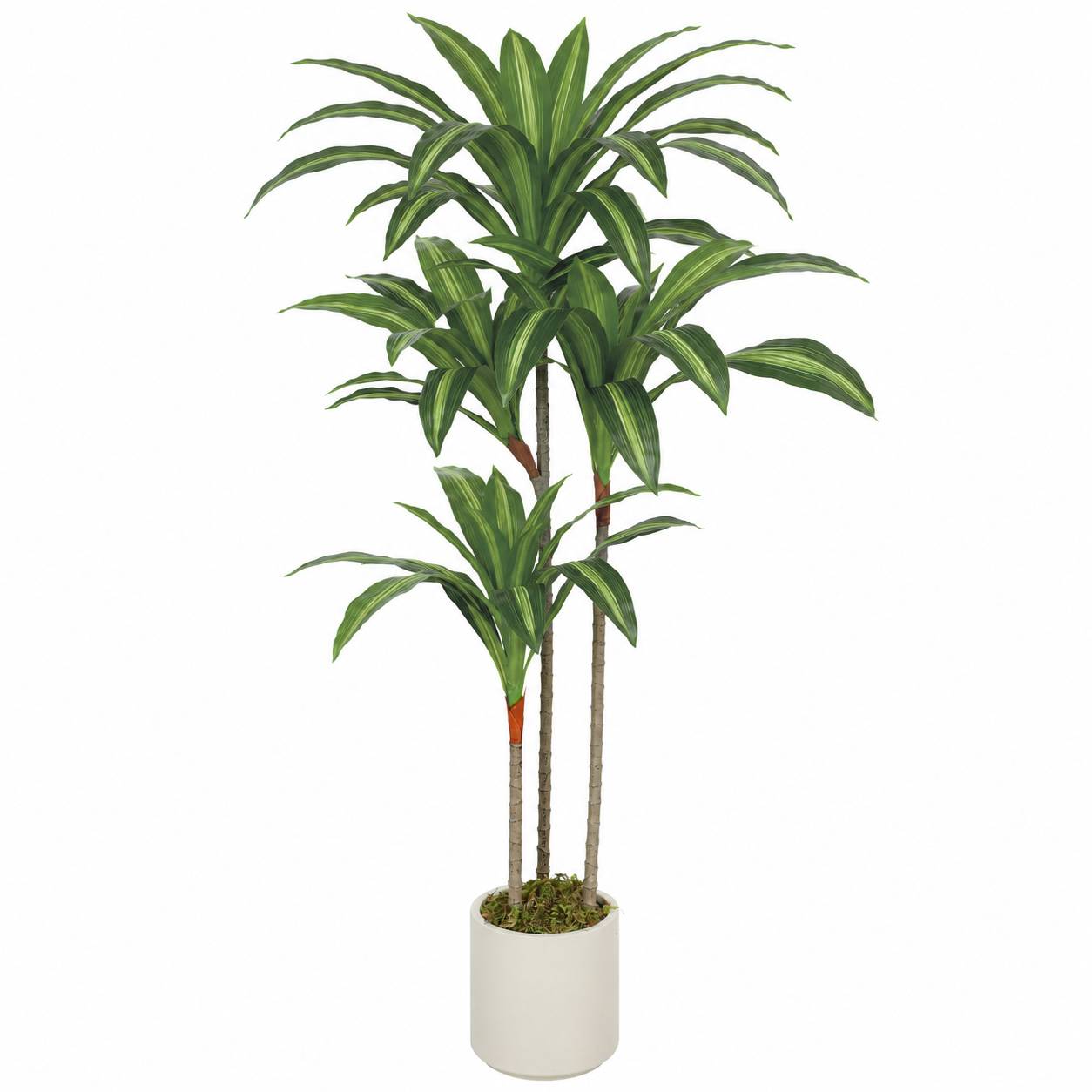 Dracaena artificiel 120 cm, tiges flexibles, pot blanc, salon chambre bureau - Image 1