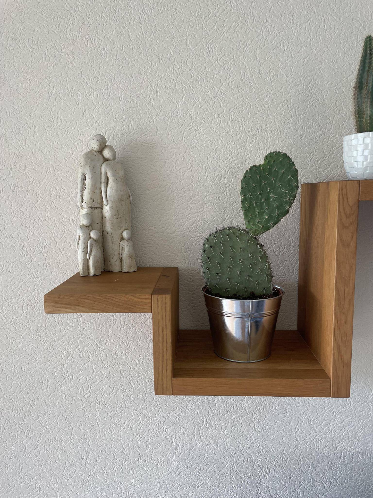 Opuntia Vijgcactus en Pot de Zinc- La Green Touch - Image 3