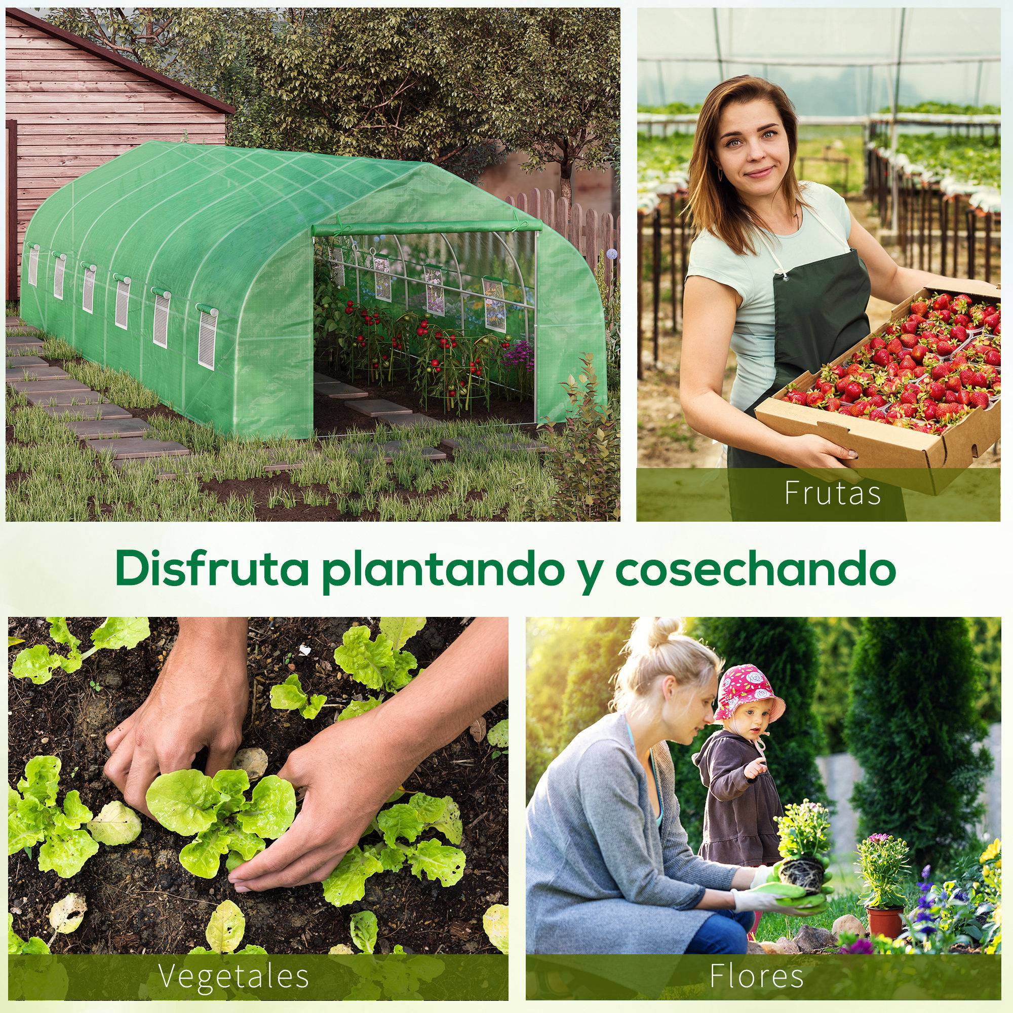 Serre de Jardin Tunnel XXL 24m² Acier Galvanisé et Bâche PE 12 Fenêtres 8x3x2 m Vert - ComfortXL Outdoor Living - Image 9
