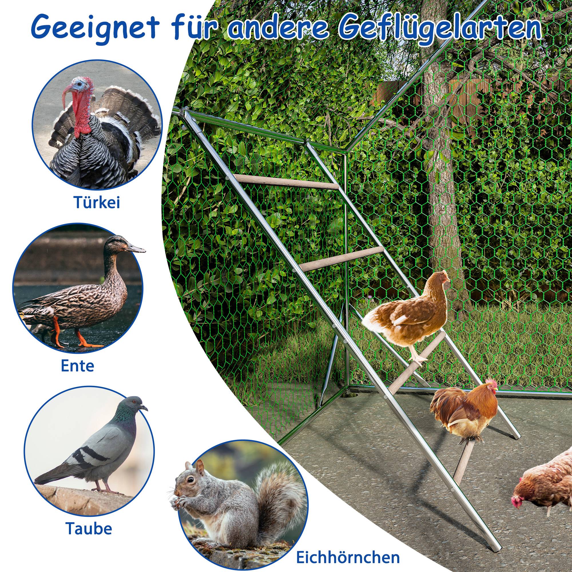 Grand Perchoir Poule Bois Métal pour Poulailler Accessoire Repos Volaille 105x144cm - ComfortXL Outdoor Living - Image 5