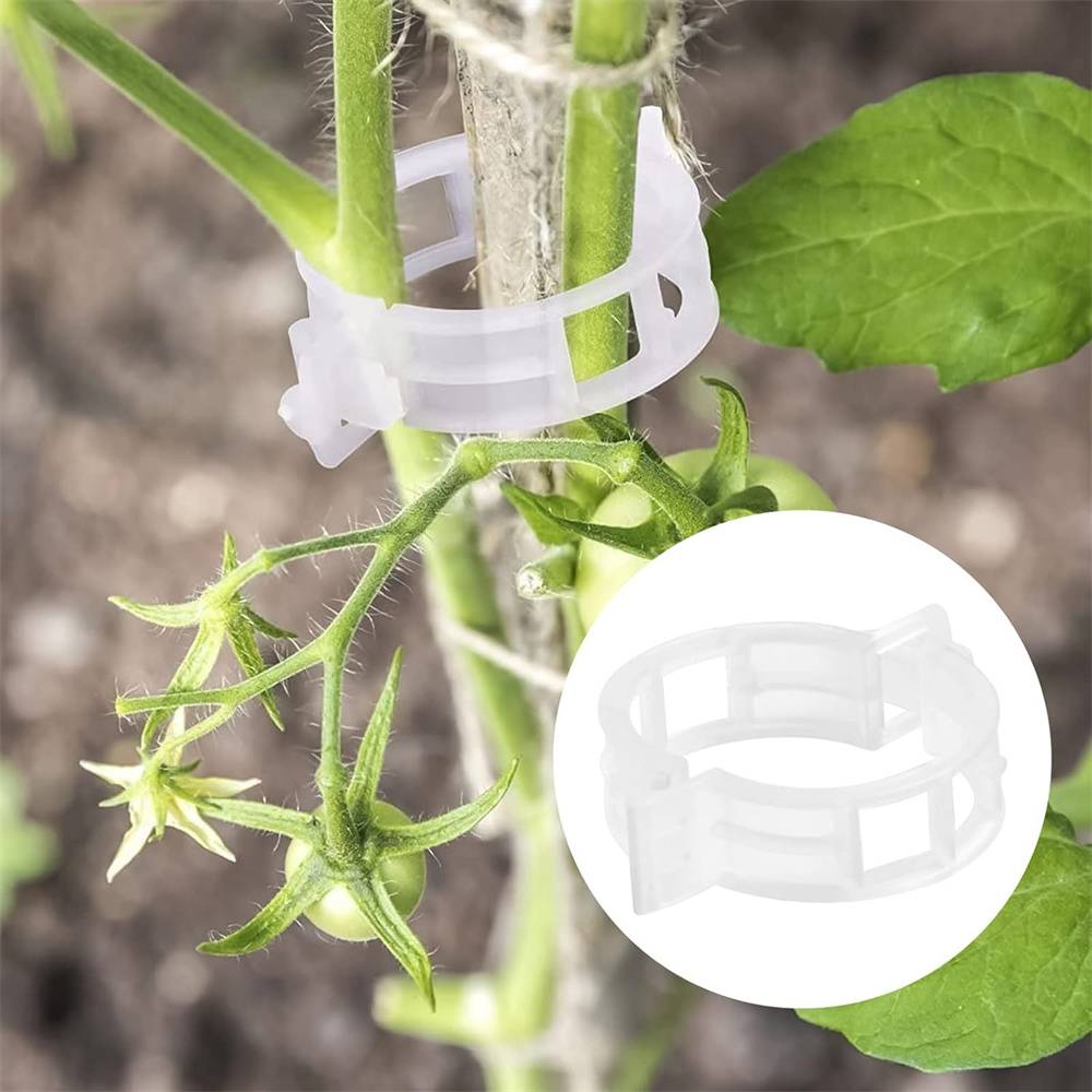 DtopbuyAge - 100 Pince pour plantes de jardin(Transparent) DtopbuyAge - Image 3