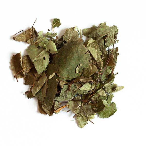 Feuilles de bouleau - 50 g - L'Eden des Pattounes