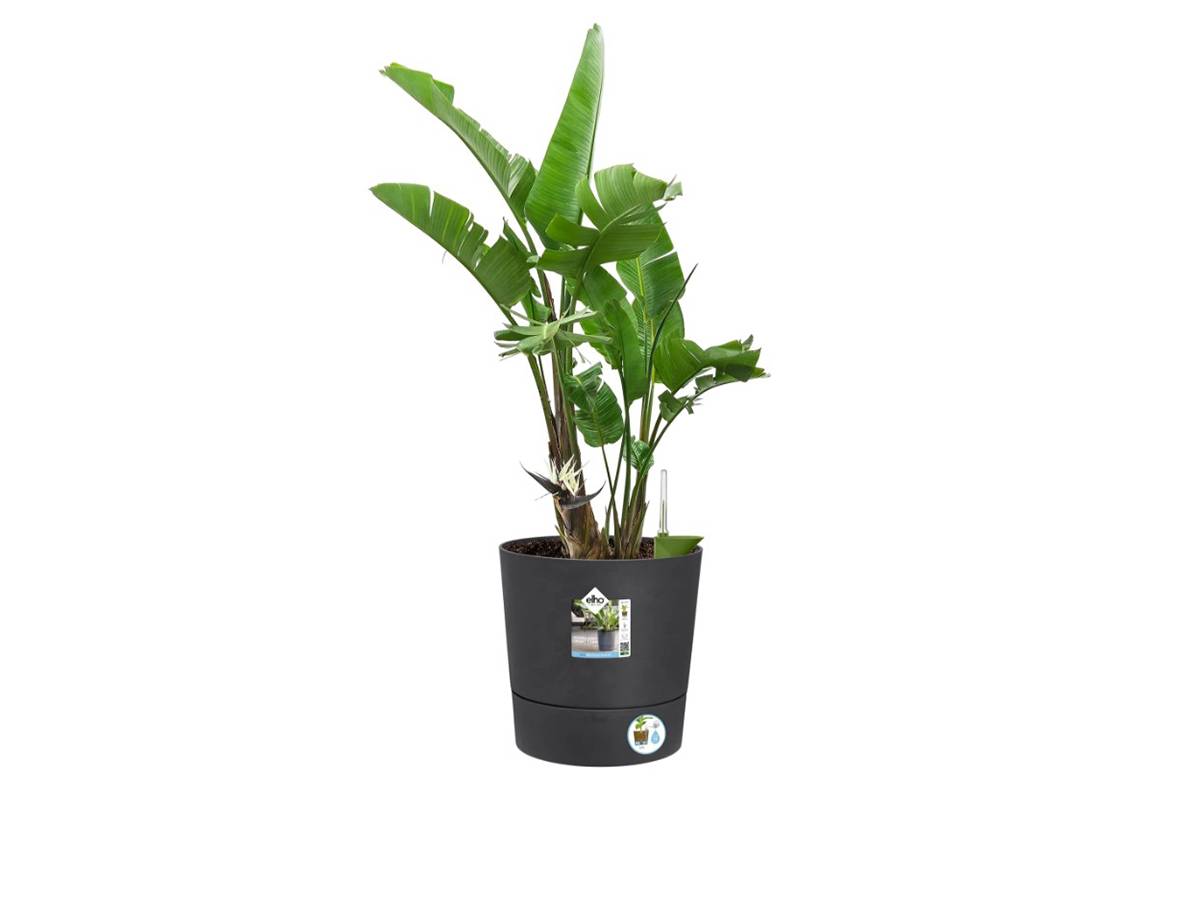 Elho - Elho - Pot De Fleurs -  Greensense Aqua Care Rond 30 - Gris Charbon - Interieur/exterieur - O 29.5 X H 29.1 Cm - Image 8