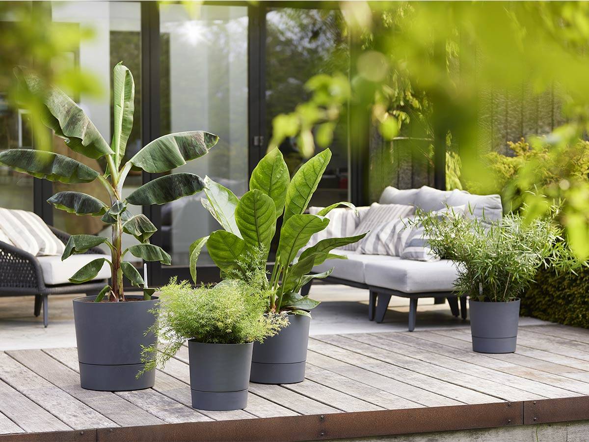 Elho - Elho - Pot De Fleurs -  Greensense Aqua Care Rond 30 - Gris Charbon - Interieur/exterieur - O 29.5 X H 29.1 Cm - Image 6