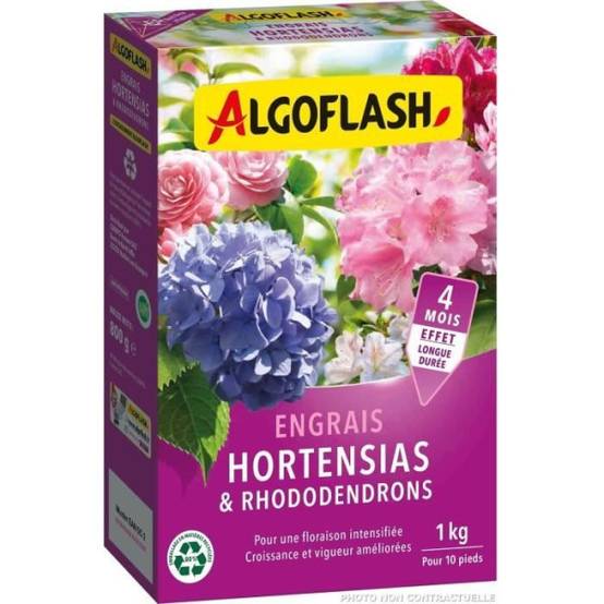 Algoflash Naturasol - Engrais Hortensias Et Rhododendrons - Algoflash Naturasol - 1 Kg - Image 2