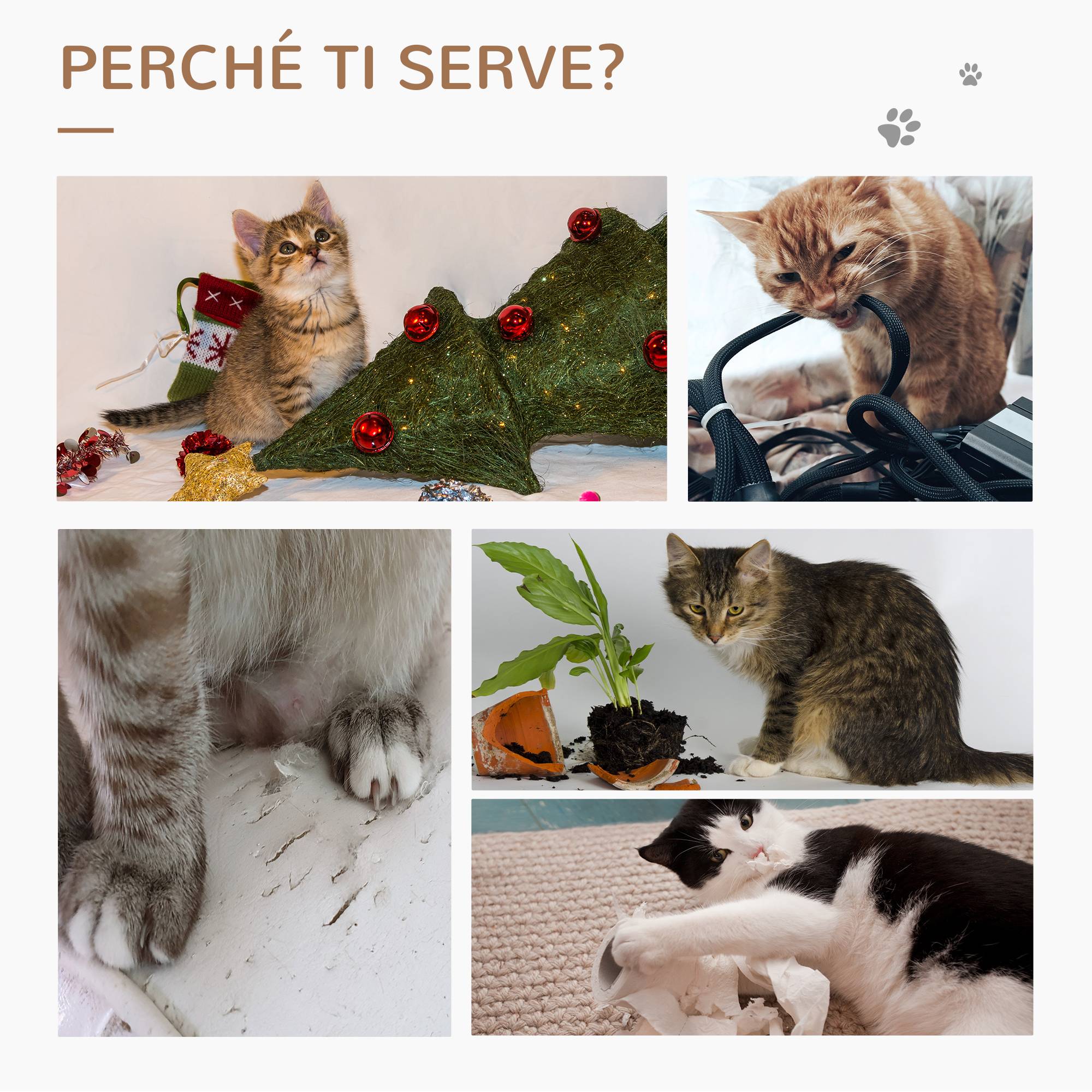 Sans Marque - Arbre à chat petit hamac balle bois peluche structure chat intérieur 50 x 36 x 70 cm beige - Image 8