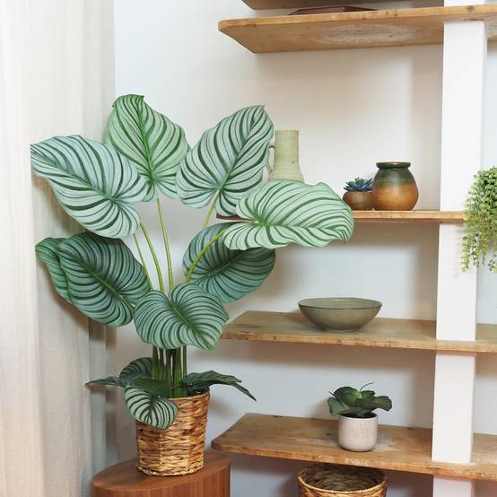Ligne Deco - Plante verte calathea artificiel 100cm - Image 5