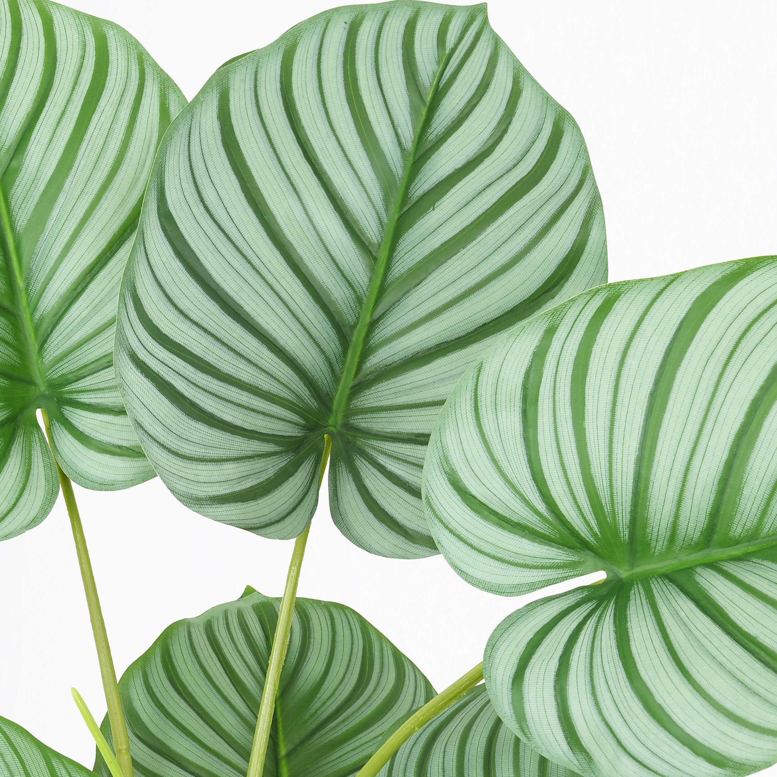 Ligne Deco - Plante verte calathea artificiel 100cm - Image 3