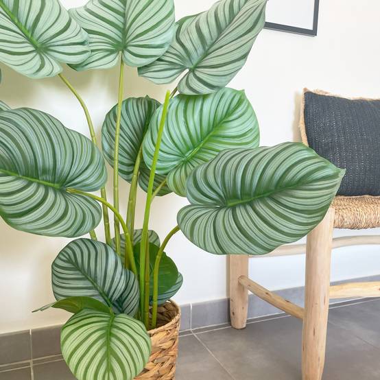 Ligne Deco - Plante verte calathea artificiel 100cm - Image 6